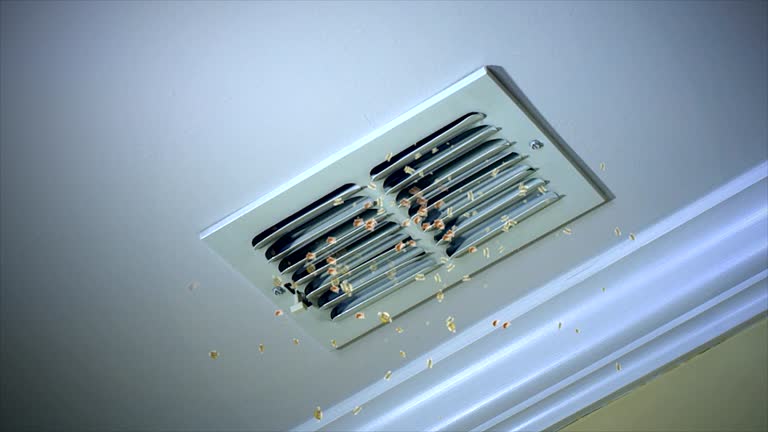 Best Emergency Air Duct Cleaning  in South Beloit, IL